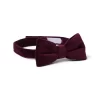 Velvet Bowtie Burgundy